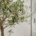 The Best Shower Enclosures for Wet Rooms: An Expert Guide